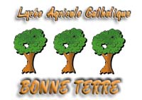 Site du Lyce Bonne Terre